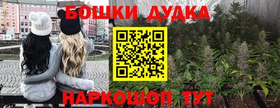 apvp Тулун