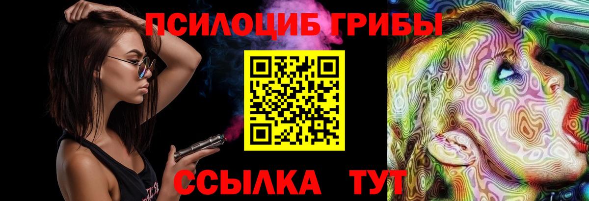 Киреевск  где продают наркотики  Вход с VPN  Псилоцибиновые грибы Cubensis  Псилоцибиновые грибы Magic Shrooms 